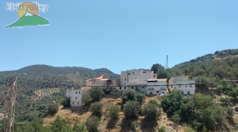 Granada - Ízbor - 43260m2