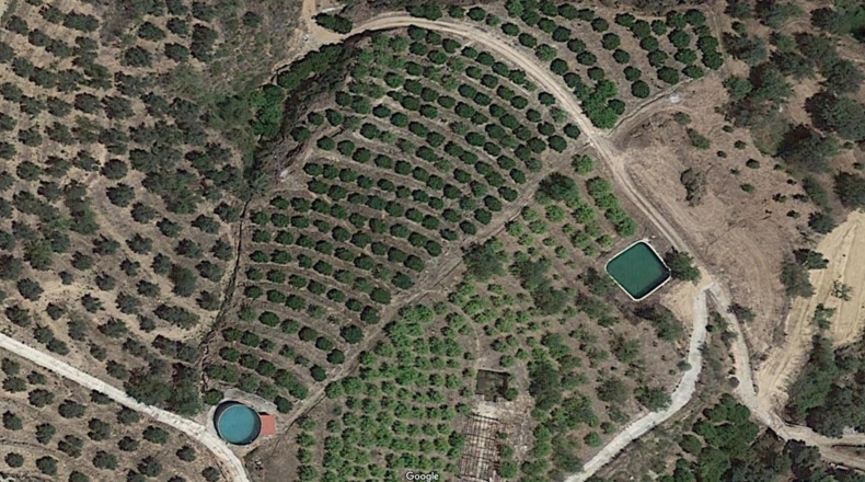 Granada - Melegís - 6000m2