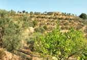 Rural estate for sale in Pinos del Valle ref: TR202650 photo