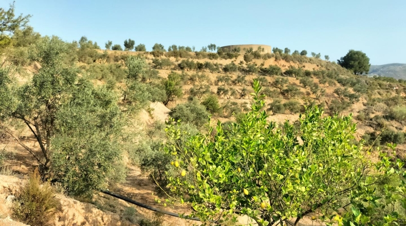 Granada - Melegís - 6000m2
