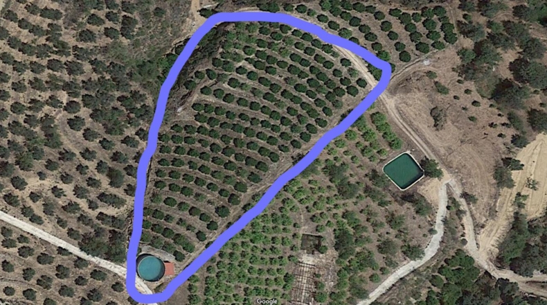 Granada - Melegís - 6000m2