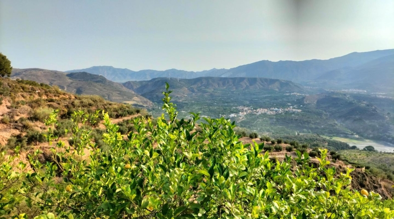 Granada - Melegís - 6000m2