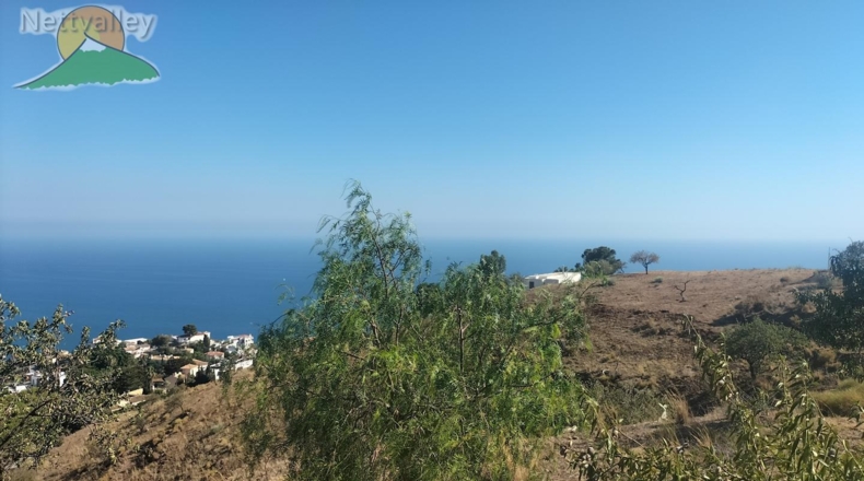 Granada - Salobreña - 13000m2