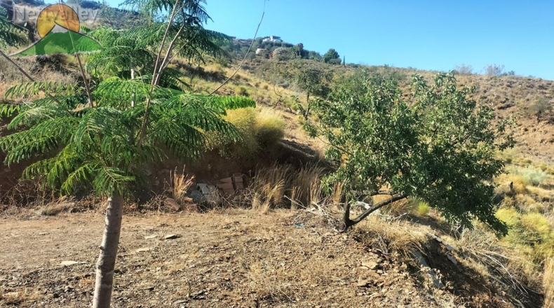 Granada - Salobreña - 13000m2