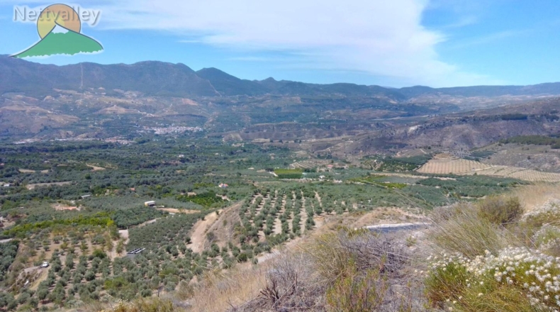 Granada - Talará - 80101m2