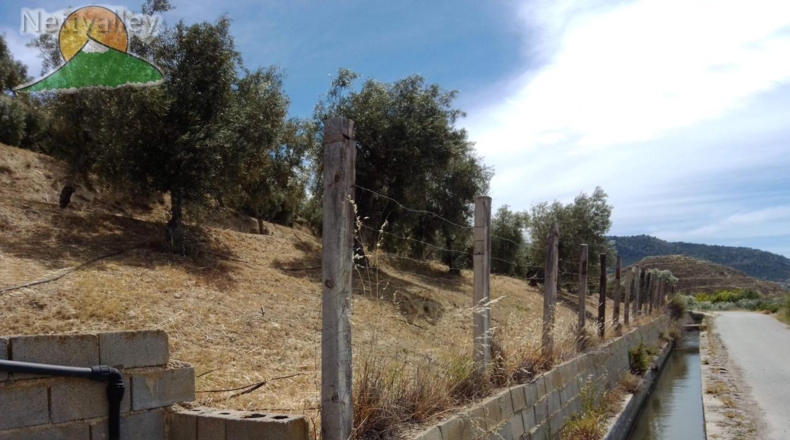 Granada - Talará - 80101m2
