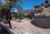 Finca rústica en venda a Mondújar ref.: TR188297 foto