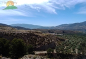 Finca rústica en venda a Mondújar ref.: TR188297 foto