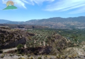 Finca rústica en venda a Mondújar ref.: TR188297 foto