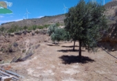 Finca rústica en venda a Mondújar ref.: TR188297 foto