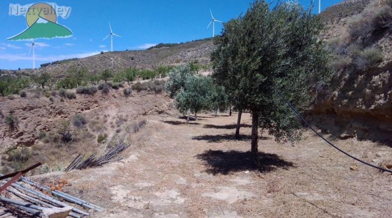 Granada - Talará - 80101m2
