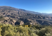 Rural estate for sale in Motril ref: TR262425 photo