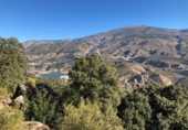 Rural estate for sale in Motril ref: TR262425 photo
