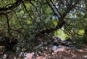 Foto 18