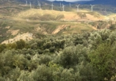 Rural estate for sale in Motril ref: TR262425 photo