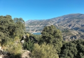 Rural estate for sale in Motril ref: TR262425 photo