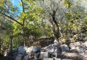 Rural estate for sale in Motril ref: TR262425 photo