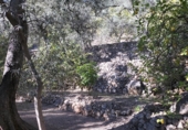 Rural estate for sale in Motril ref: TR262425 photo