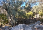Rural estate for sale in Motril ref: TR262425 photo