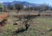Non-developable land for sale on España, Dúrcal, ref: TR109791 photo
