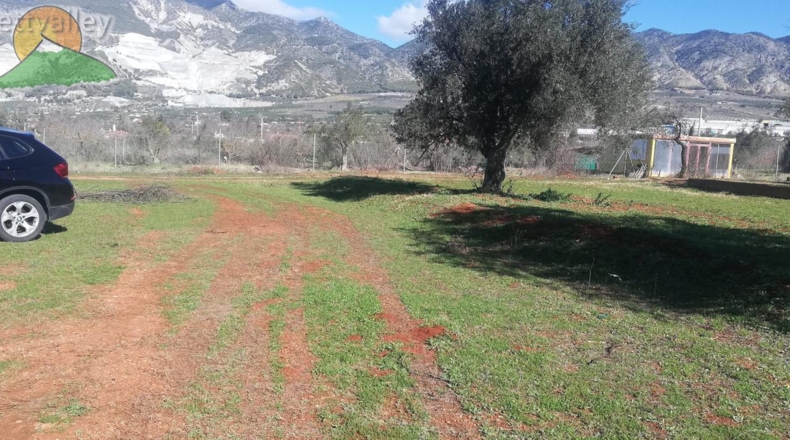 Granada - Marchena - 1751m2