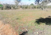 Non-developable land for sale on España, Dúrcal, ref: TR109791 photo