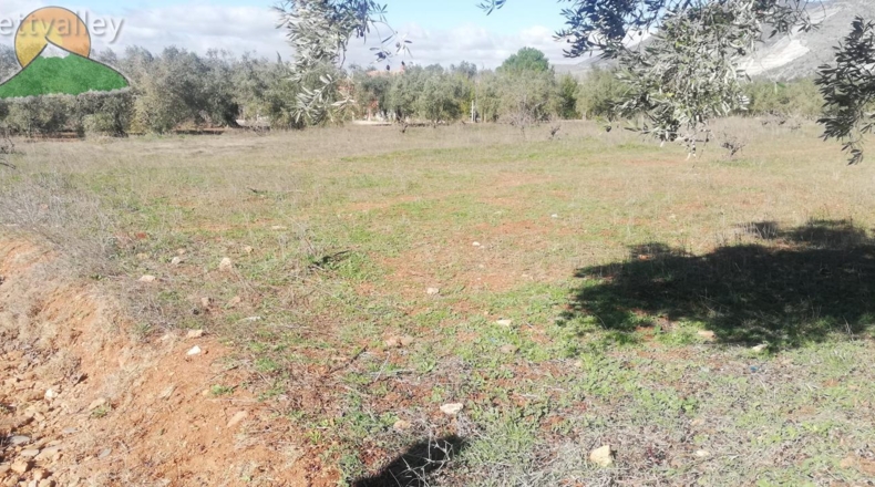 Granada - Marchena - 1751m2