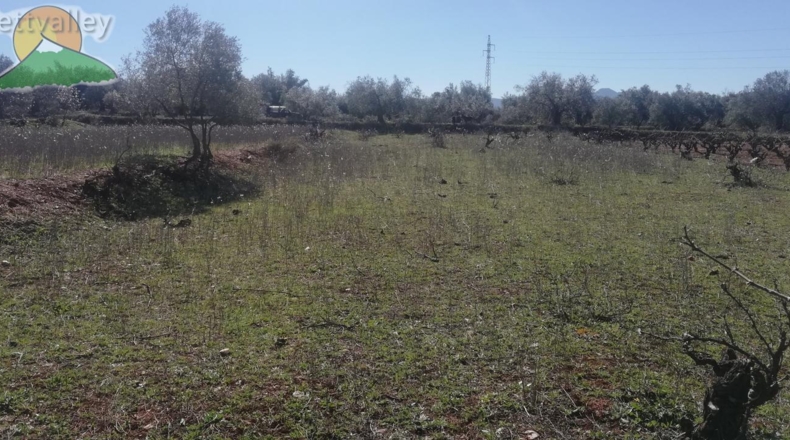 Granada - Marchena - 1751m2