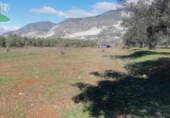 Non-developable land for sale on España, Dúrcal, ref: TR109791 photo
