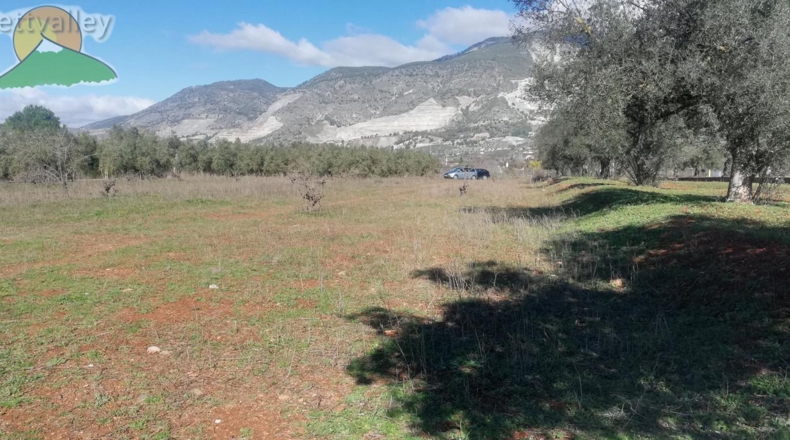 Granada - Marchena - 1751m2