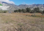 Non-developable land for sale on España, Dúrcal, ref: TR109791 photo