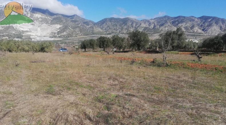 Granada - Marchena - 1751m2