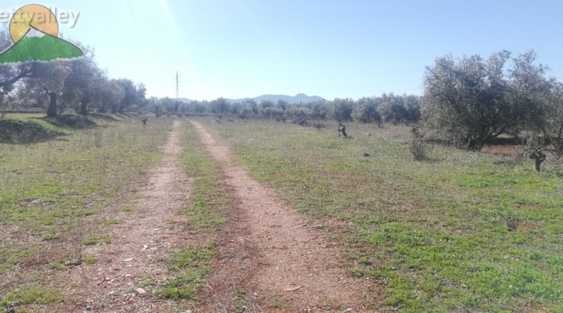 Granada - Marchena - 1751m2