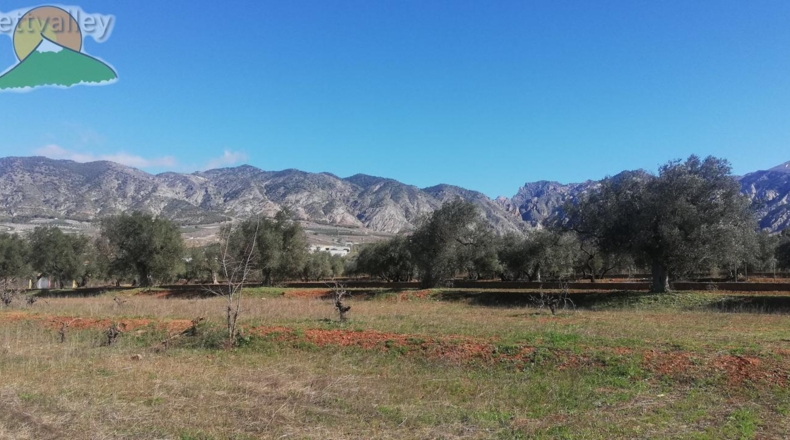 Granada - Marchena - 1751m2