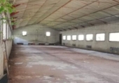 Industrial warehouse for sale on España, Nigüelas, ref: TR111778 photo