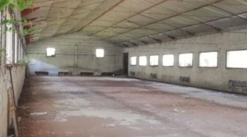 Granada - Nigüelas - 2000m2