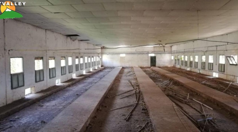 Granada - Nigüelas - 2000m2