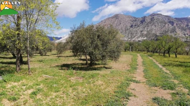 Granada - Nigüelas - 2000m2