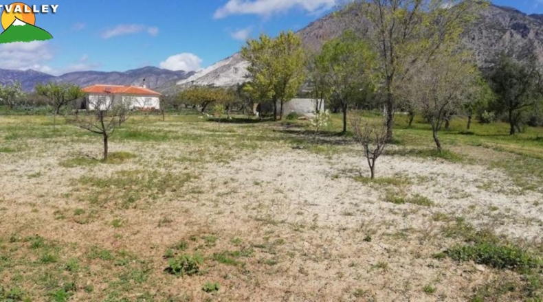Granada - Nigüelas - 2000m2