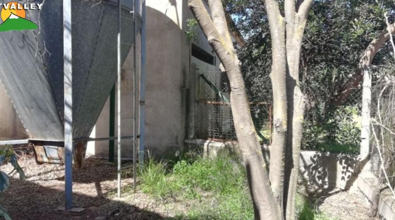 Granada - Nigüelas - 2000m2