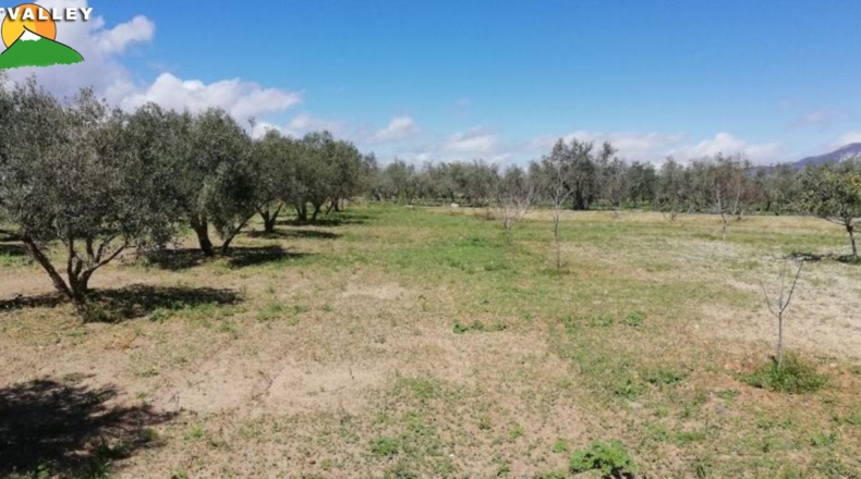 Granada - Nigüelas - 2000m2
