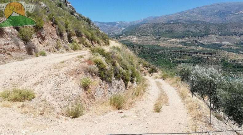Granada - Pinos del Valle - 10000m2