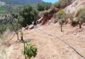 Rural estate for sale on España, Pinos del Valle, ref: TR202652 photo