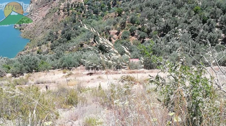 Granada - Pinos del Valle - 10000m2