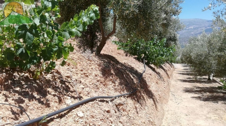 Granada - Pinos del Valle - 10000m2