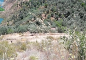 Rural estate for sale on España, Pinos del Valle, ref: TR202652 photo