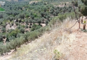 Rural estate for sale on España, Pinos del Valle, ref: TR202652 photo