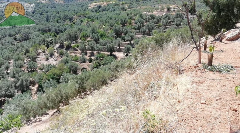 Granada - Pinos del Valle - 10000m2