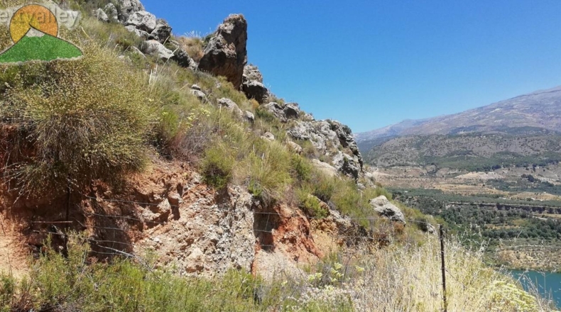 Granada - Pinos del Valle - 10000m2