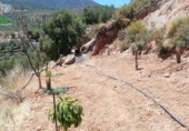 Rural estate for sale on España, Pinos del Valle, ref: TR202652 photo